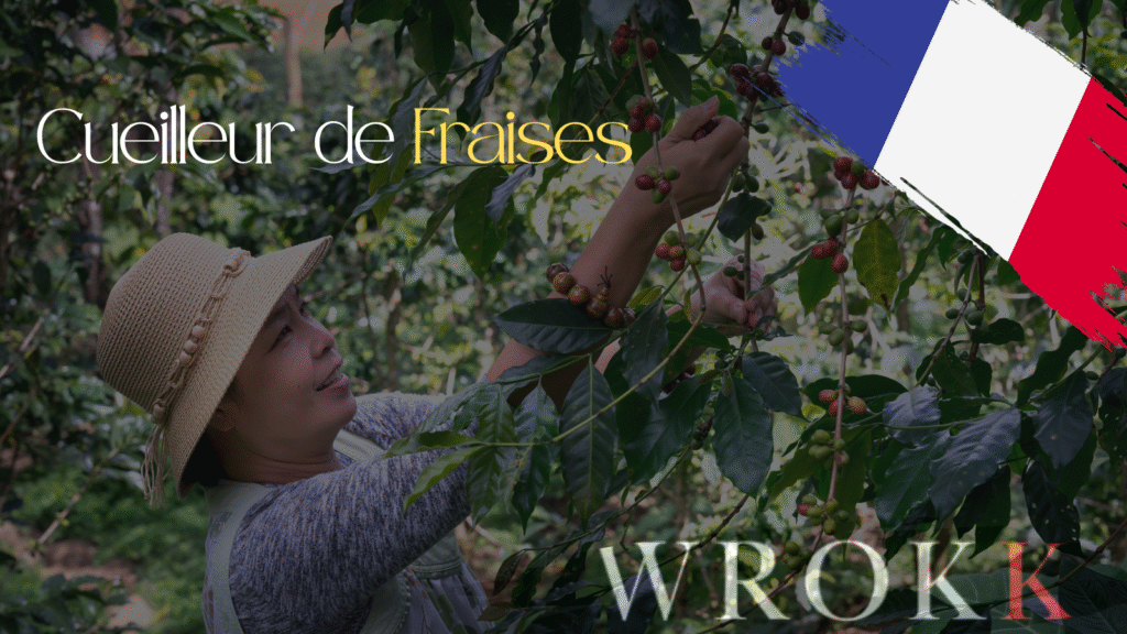 Cueilleur de Fraises