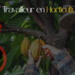 Travailleur en Horticulture