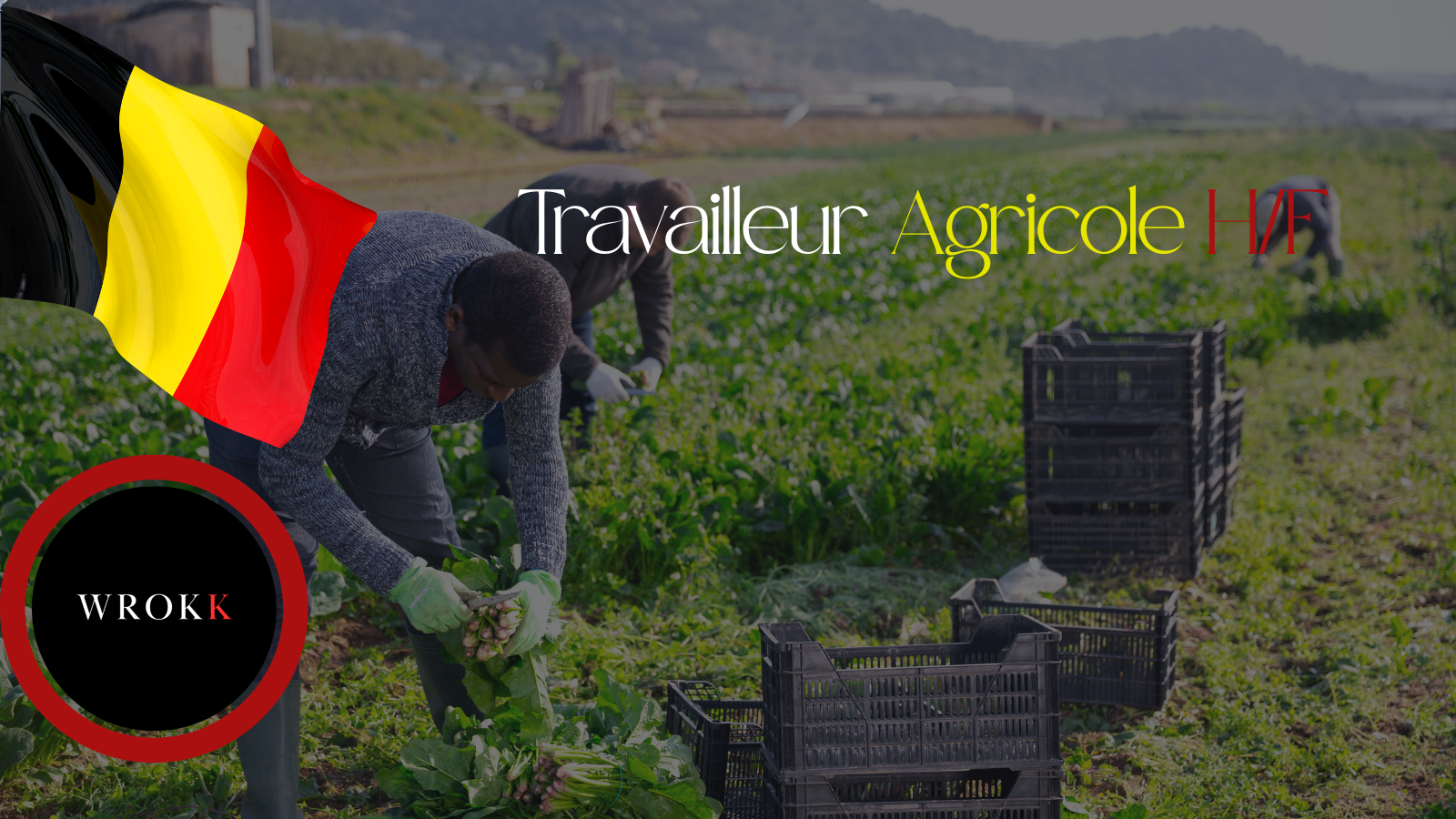 Recrutement Saisonnier : offre d’emploi Pour Travailleur Agricole H/F en Europe