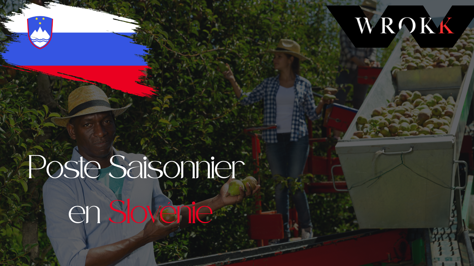 Opportunité Saisonnier en Slovénie