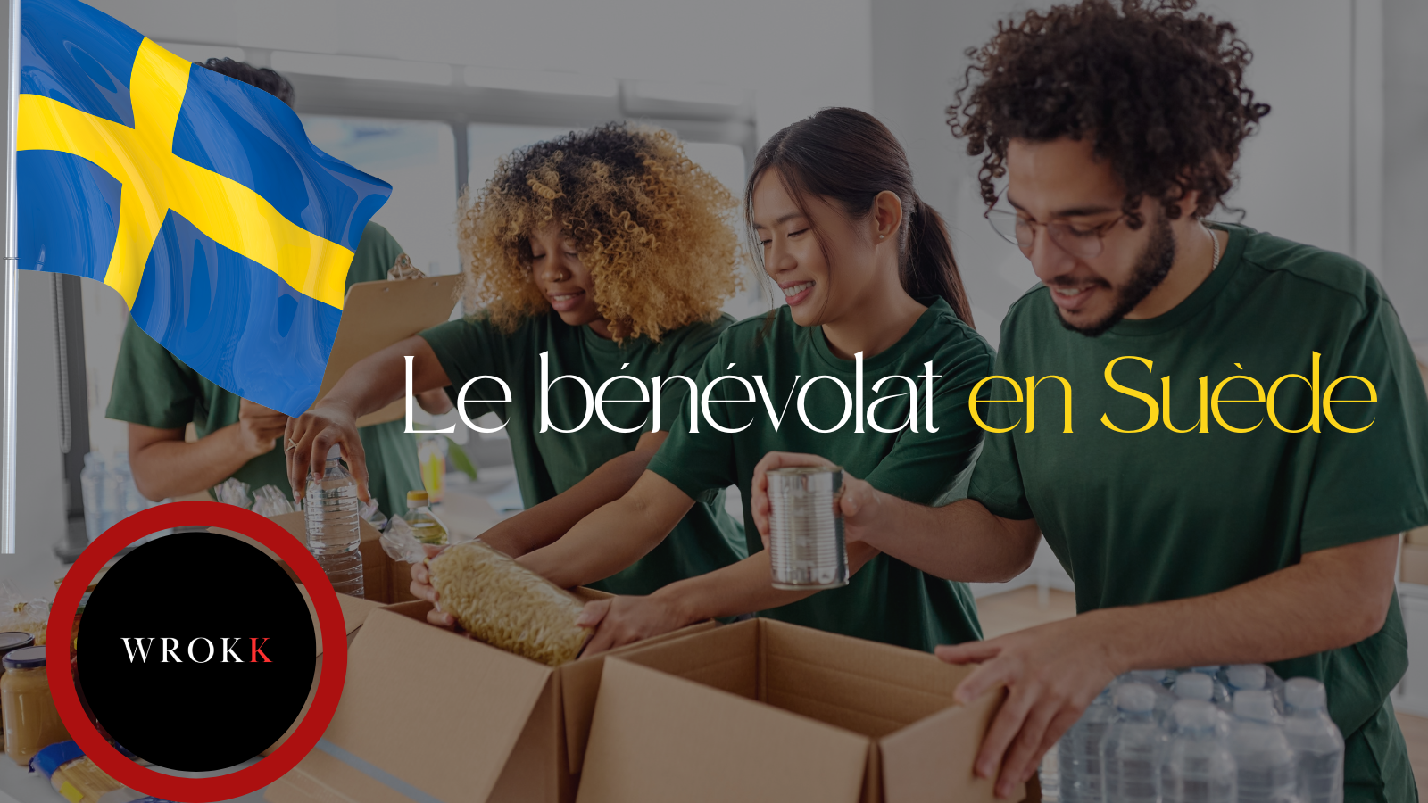 volontariat en Suède