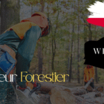Travailleur Forestier