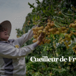 Cueilleur de Fruits