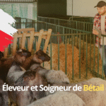 Éleveur et Soigneur de Bétail