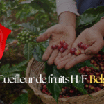 Cueilleur de fruits