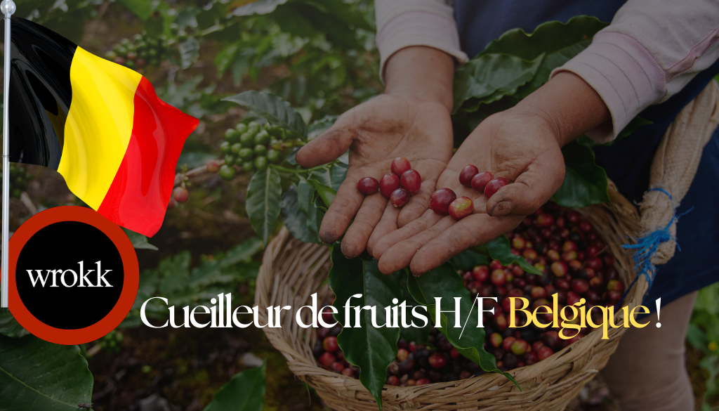 Cueilleur de fruits