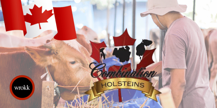 Holsteins Ltd Recrute : ouvrier agricole polyvalent à Monkton