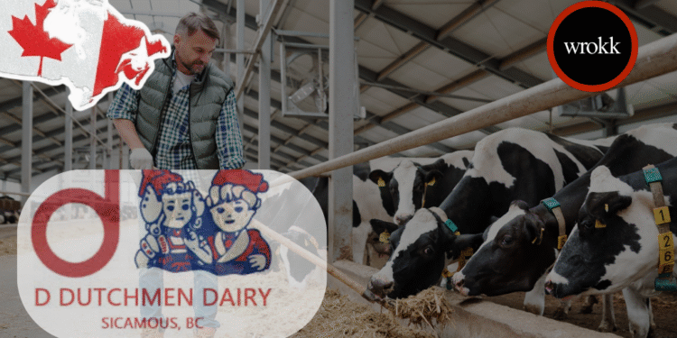 D Dutchmen Dairy Recrute : Ouvrier en Élevage Laitier – Sicamous