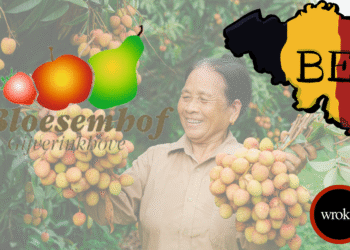 T BLOESEMHOF SORT