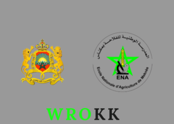 Ecolde Nationale d’agriculture de Meknès