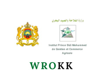 Institut Prince Sidi Mohammed