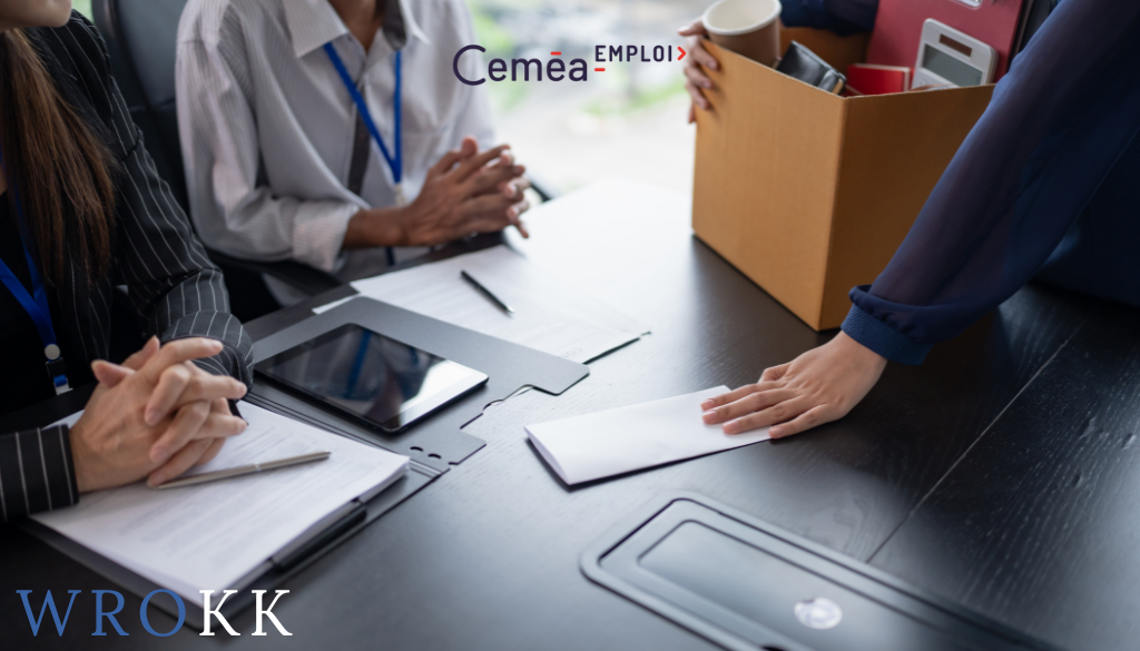 Emploi CEMEA